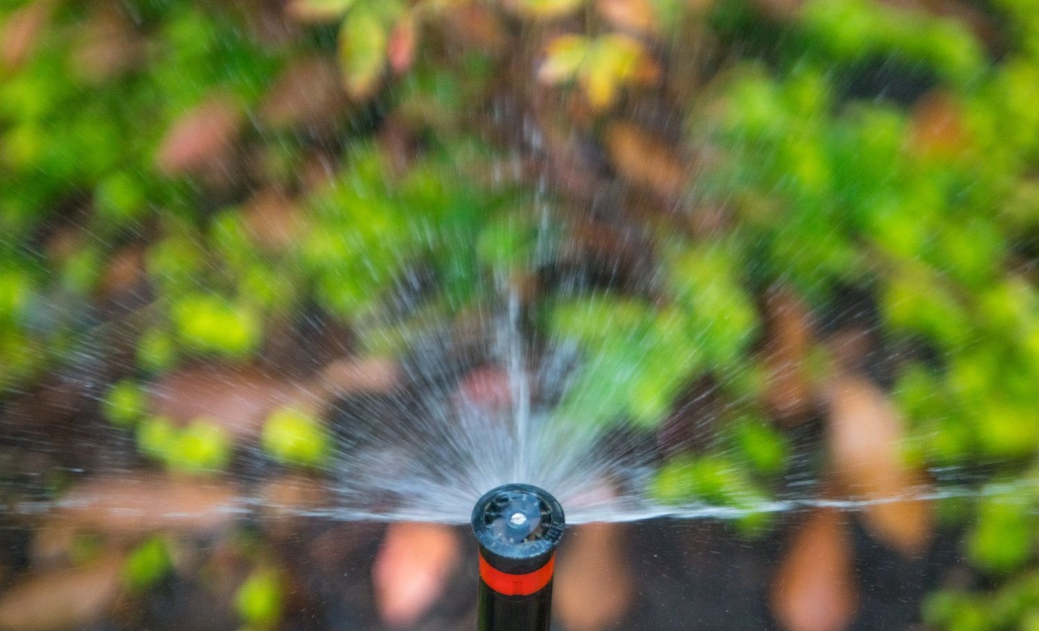 irrigation sprinkler head