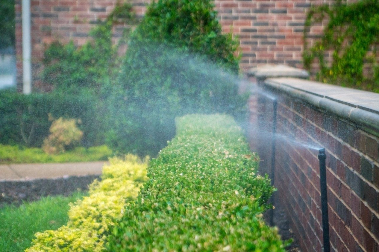 irrigation sprinklers watering landscape shrubs and plants