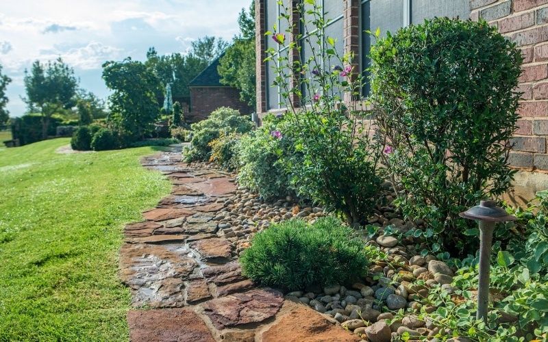 plants and shrubs growing in stone