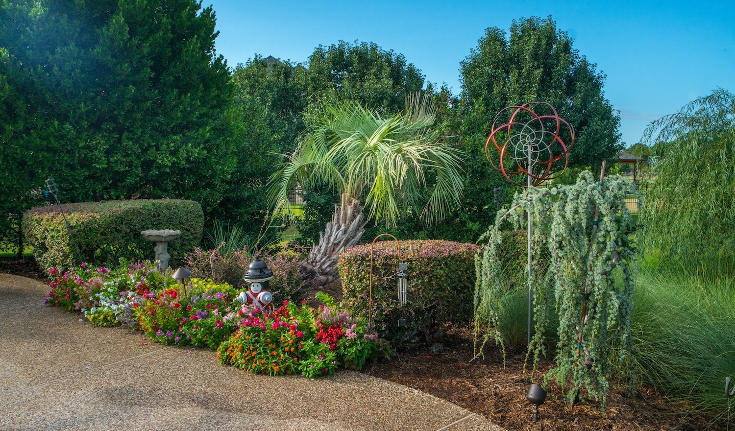 plants and shrubs in mulch