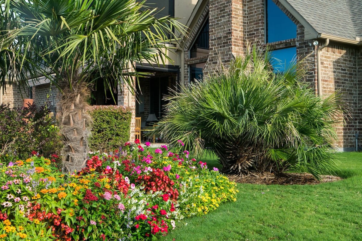 flowers and trees in landscape bed with mulch