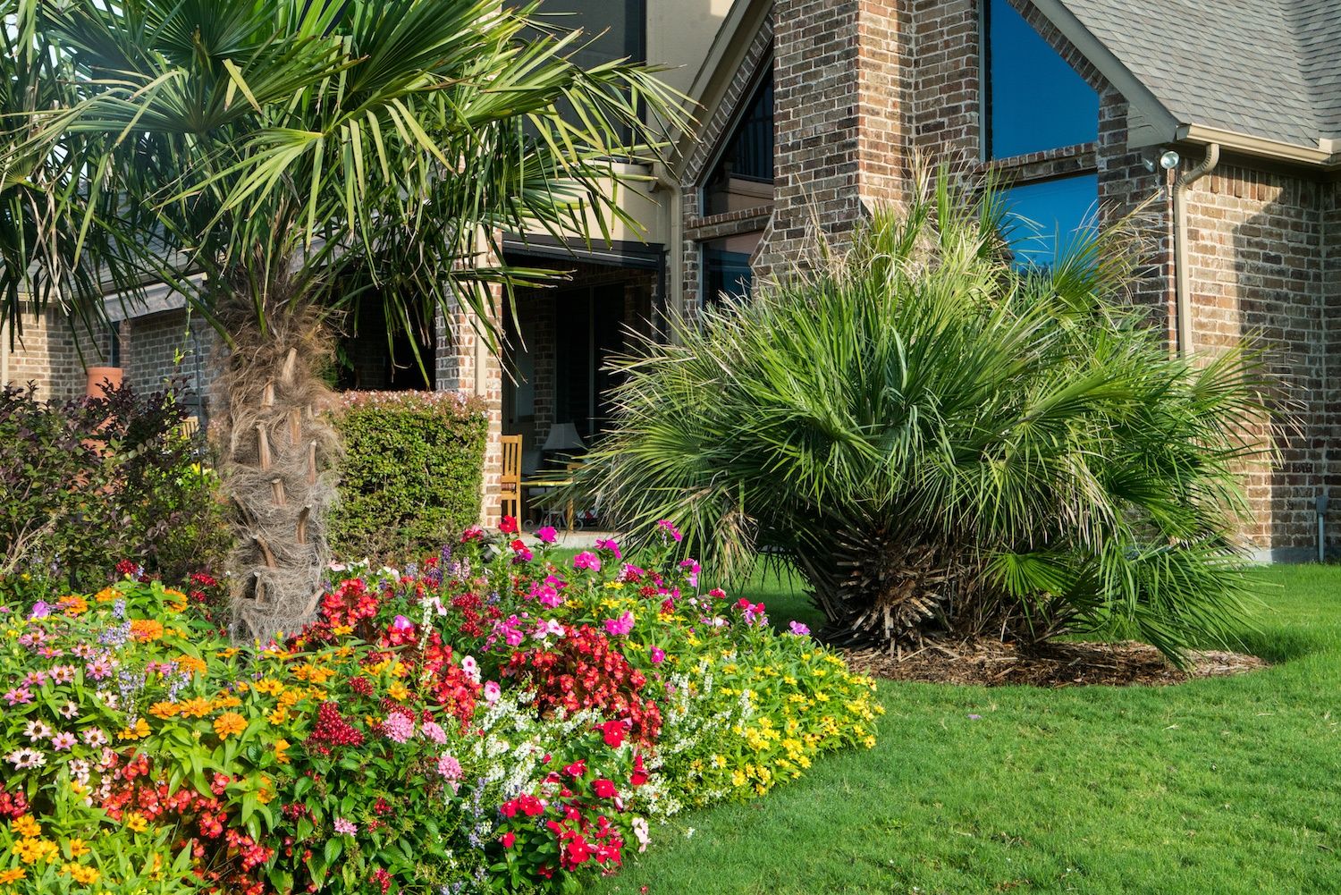 Trees and shrubs with plant health care services