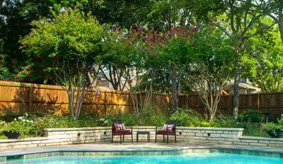 6 Common Crape Myrtle Problems: Watch Out for These Diseases & Pests