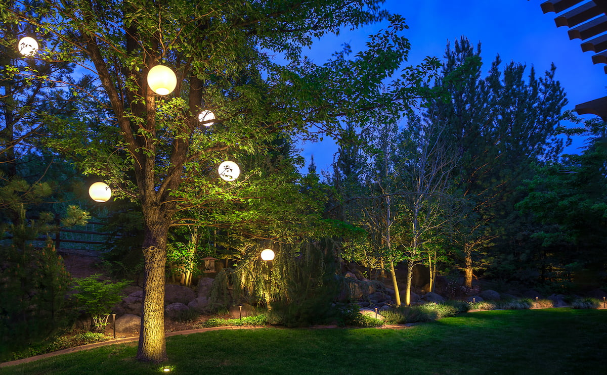 landscape lighting in tree and throughout backyard