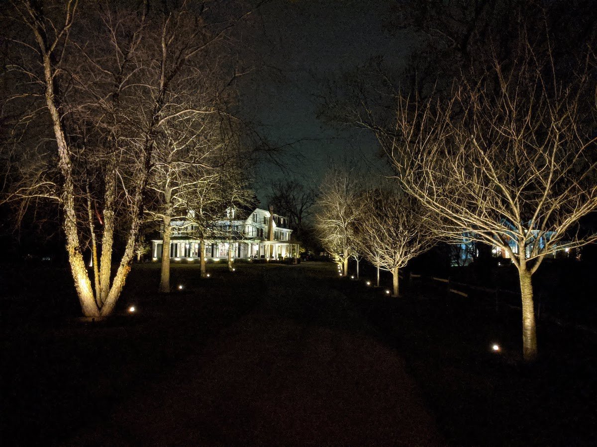 driveway lined by trees and landscape lighting