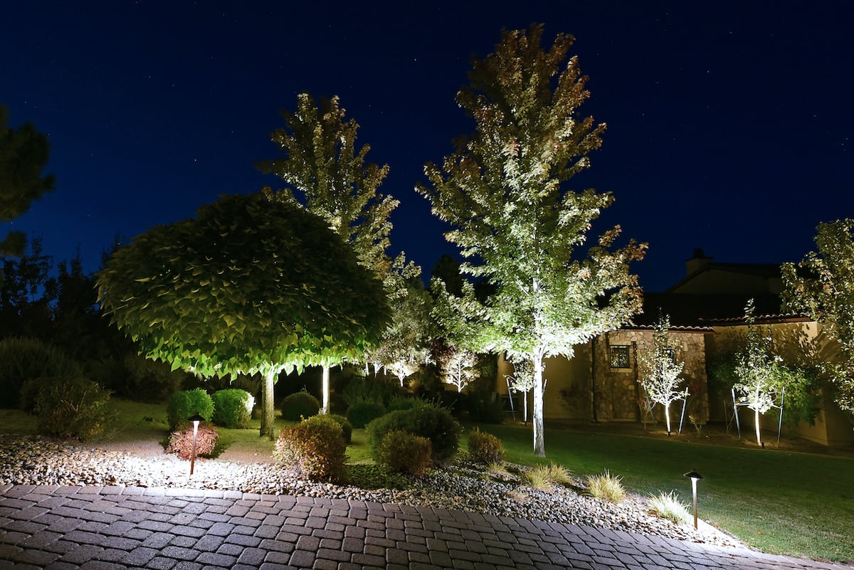 landscape lighting on trees and in landscape beds