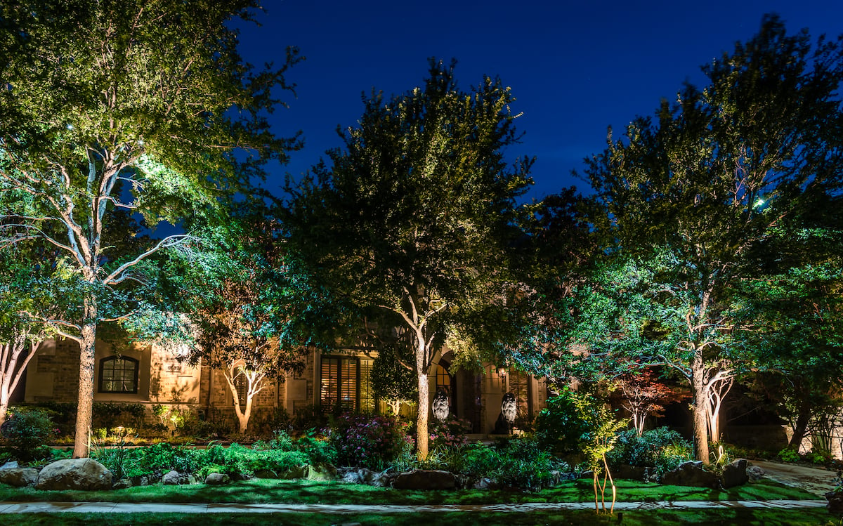 colored landscape lighting on trees