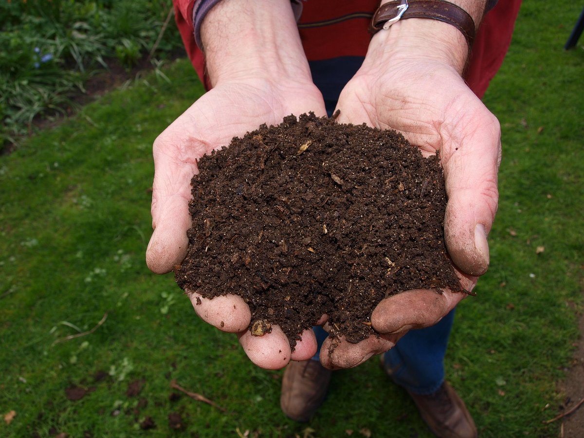 compost for lawn