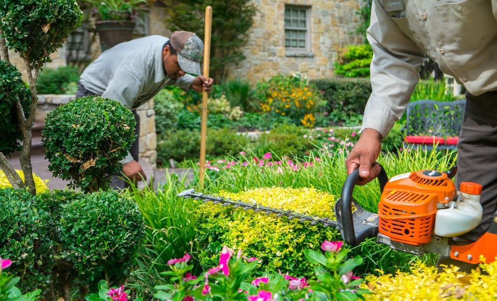 landscape maintenance team maintain shrubs