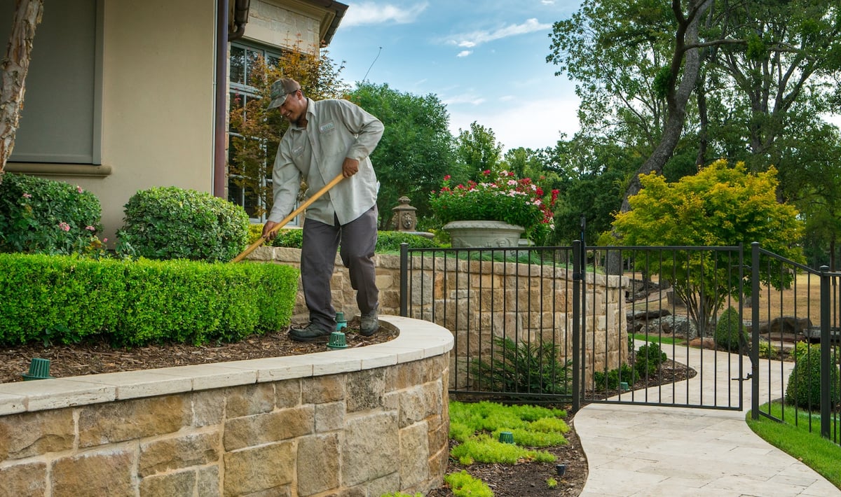 landscape maintenance expert trims bushes