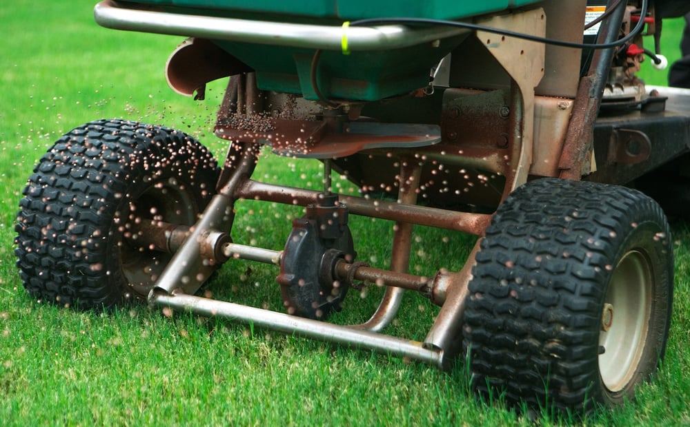 grassperson-crew-lawn-seeding-fertilizing-3