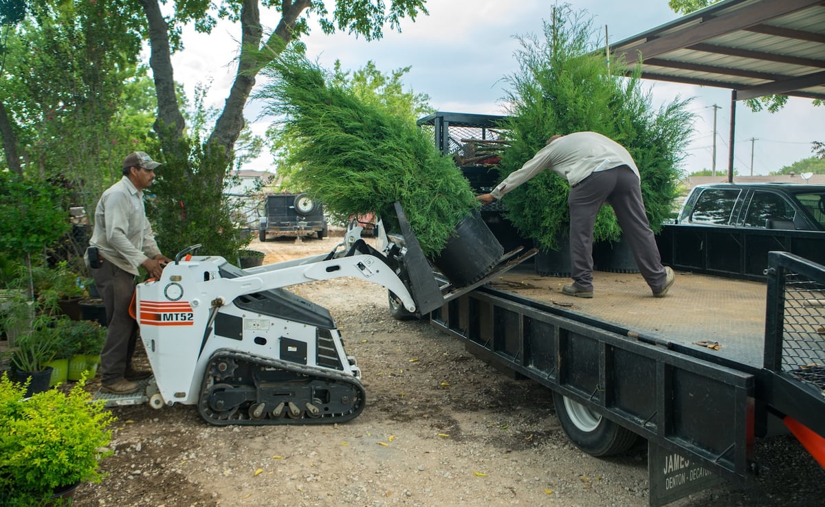 skid loader with shrub