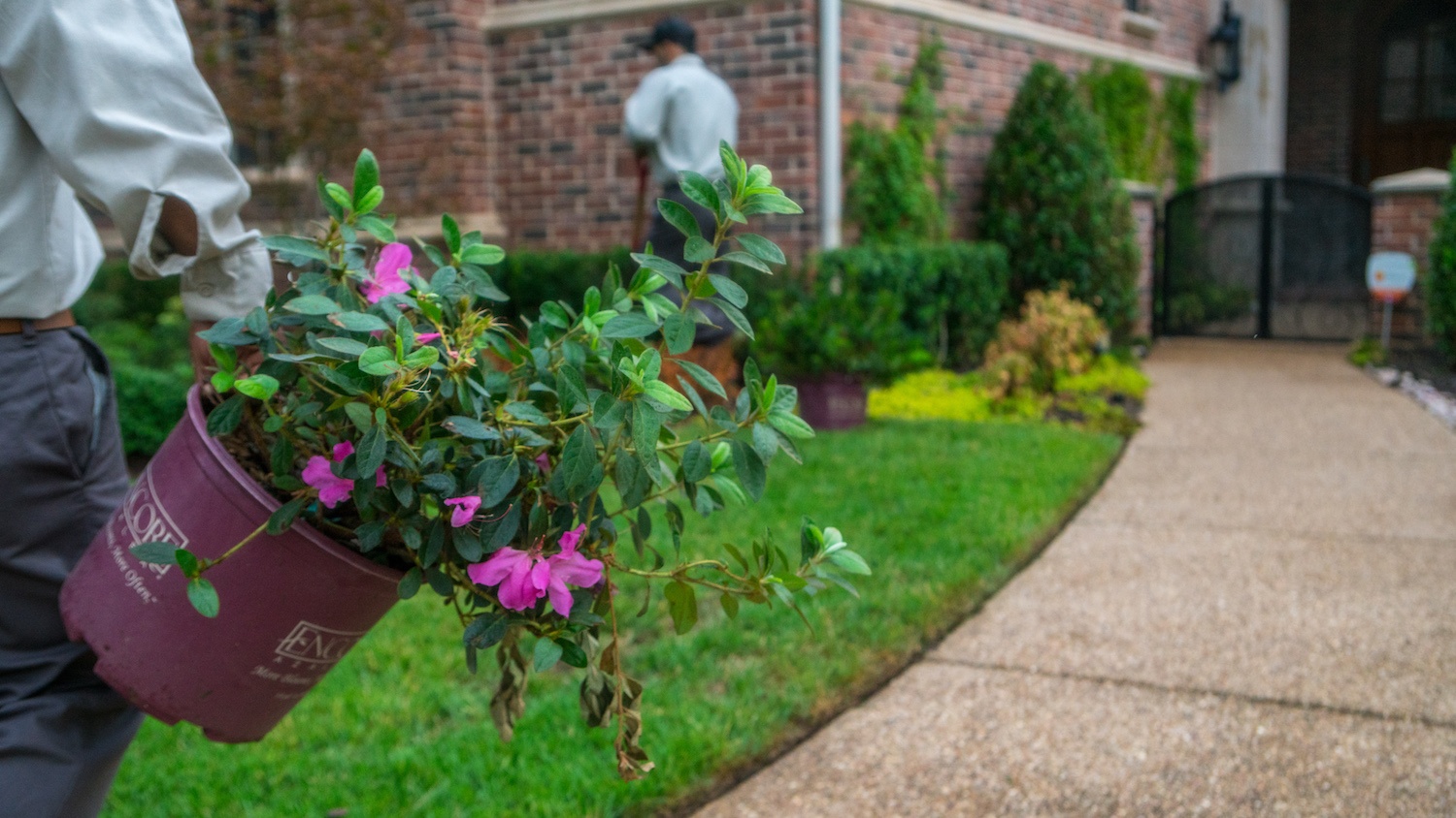 grassperson-crew-planting-1