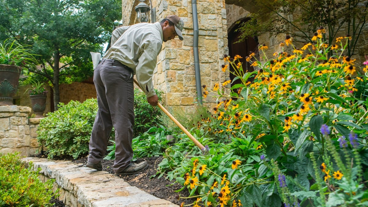 landscape maintenance team maintains flower bed