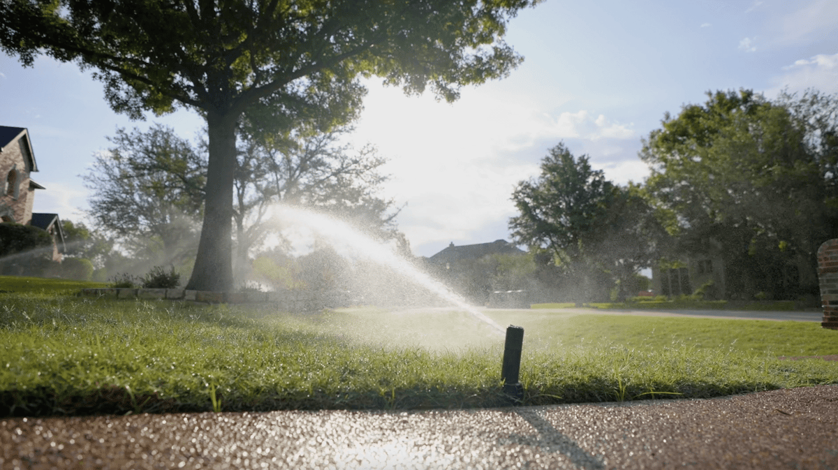 sprinkler head sprays grass