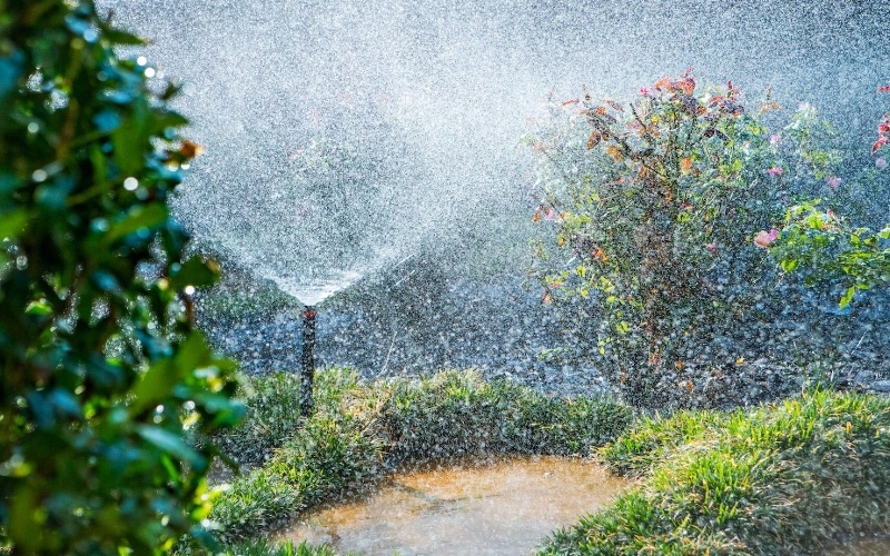 sprinkler head waters plantings 