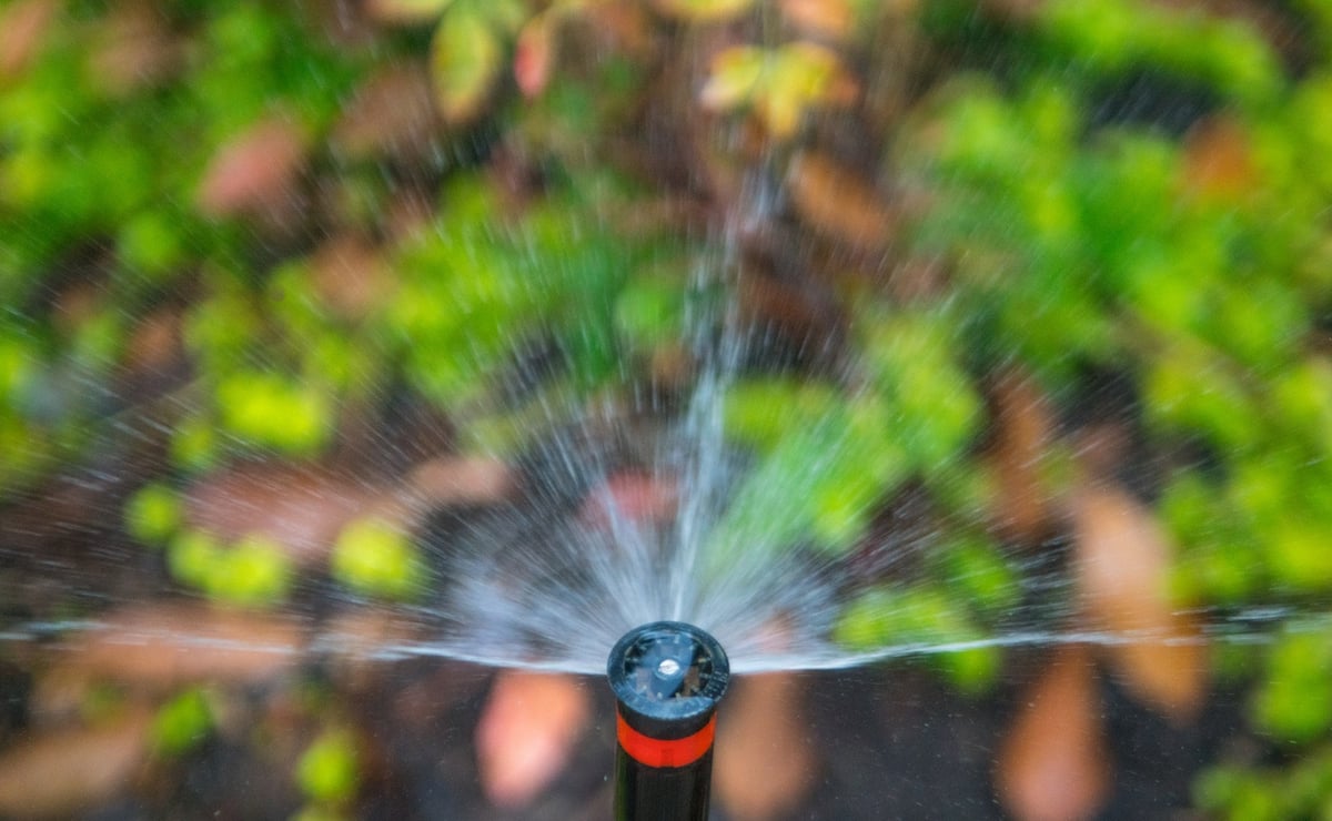 sprinkler head waters garden