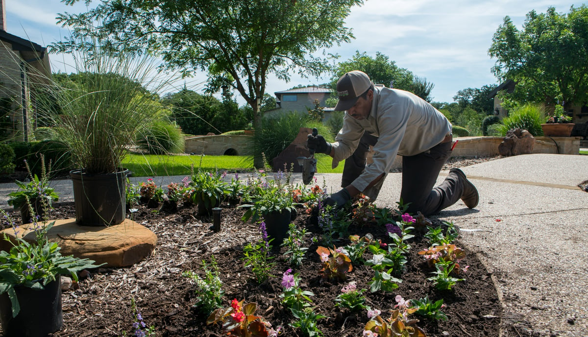 landscaping team plants flowers in mulch bed