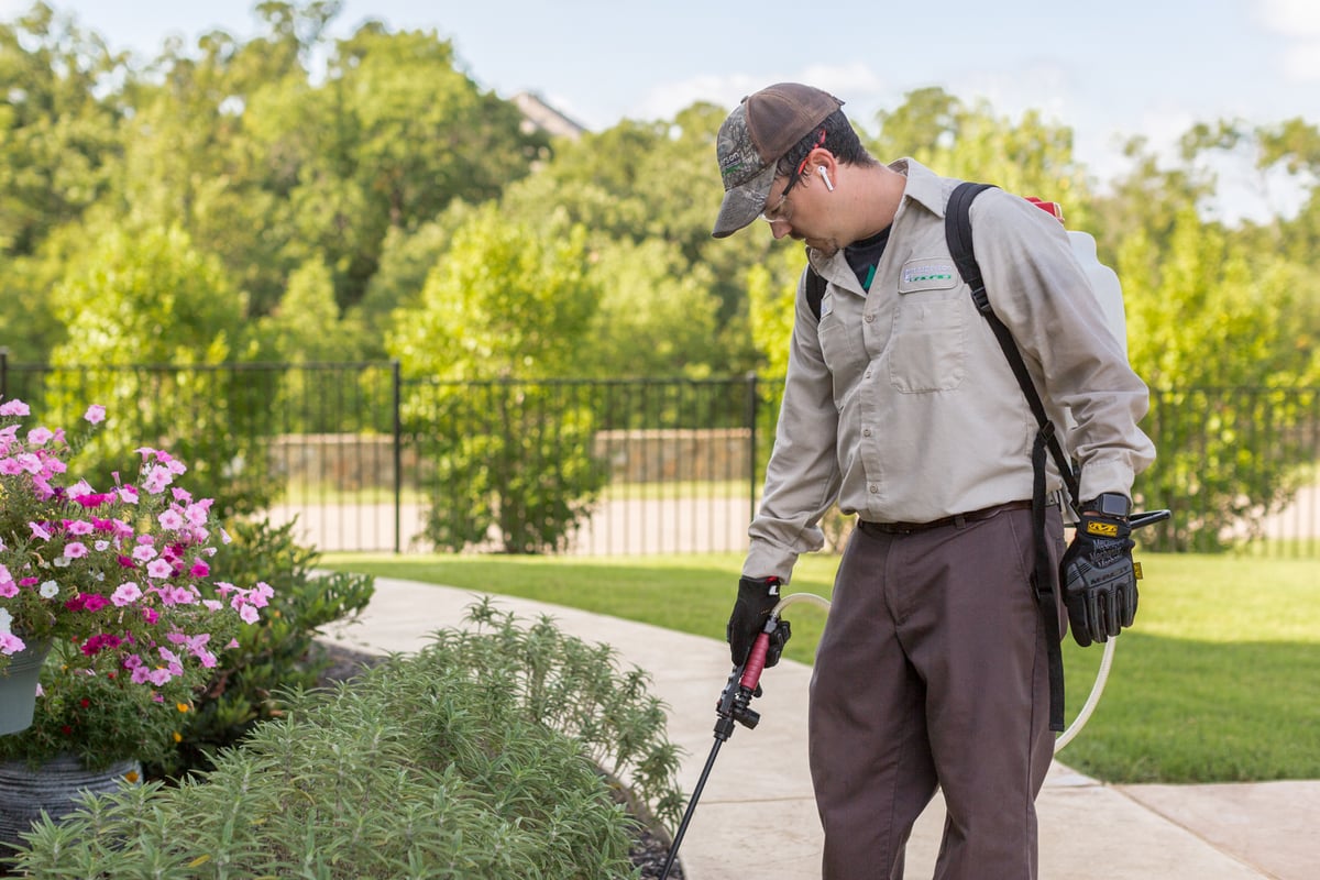 landscape maintenance technician sprays weeds in landscape bed