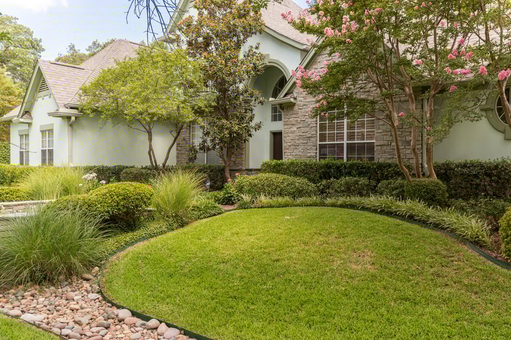 lawn planting house 8-2