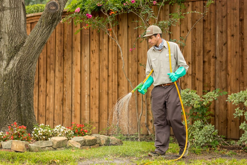 lawn care technician spraying weed control