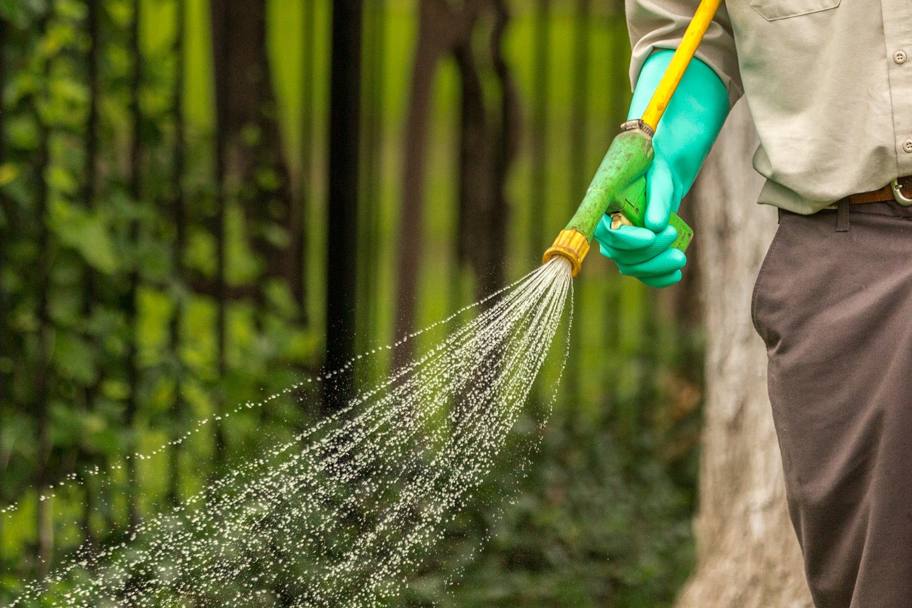 lawn technician spraying 458