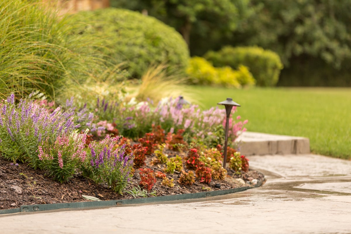 landscape lighting in landscape bed with flowers