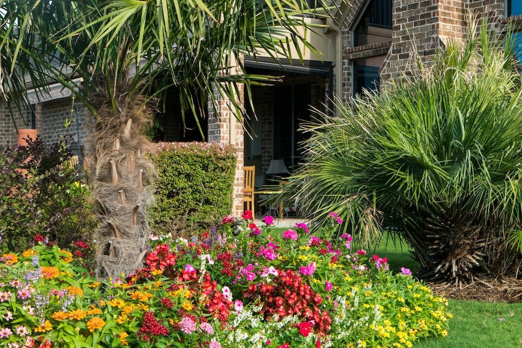 flowers and plantings near palm tree