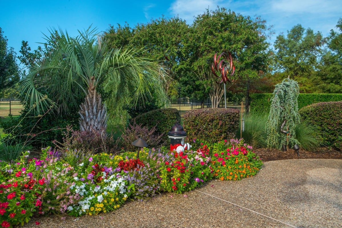 flowers and palm tree in landscape bed
