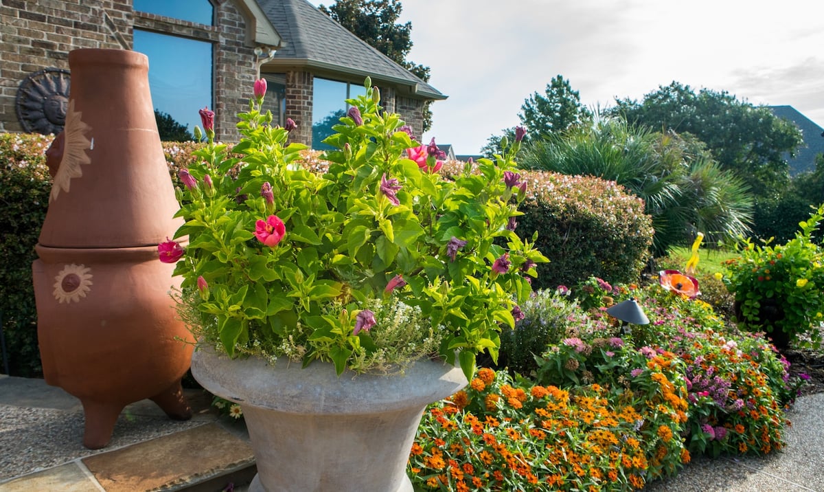 container garden with flowers in landscape bed