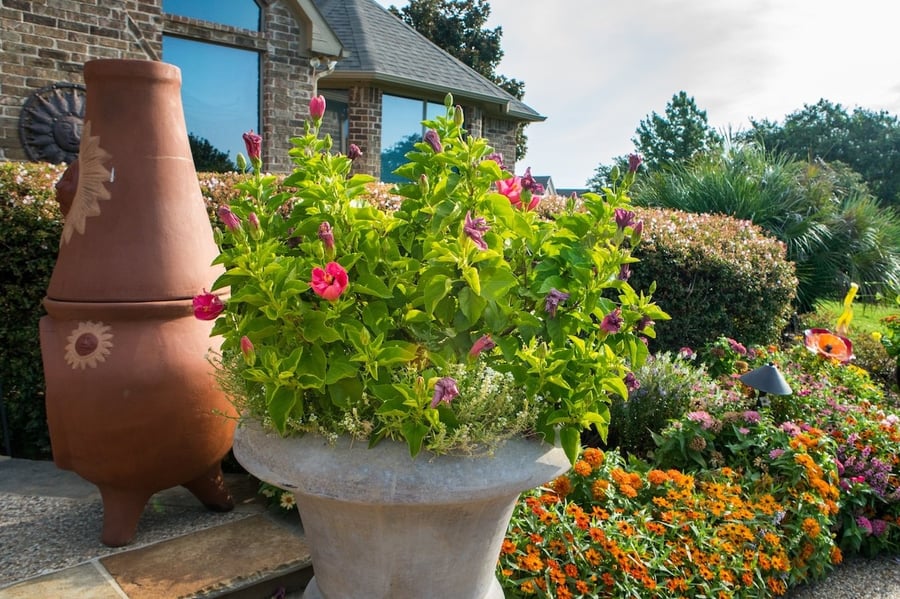 flowers in container and on ground