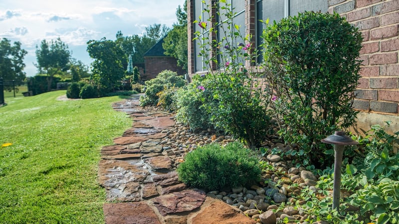 rock garden with plantings