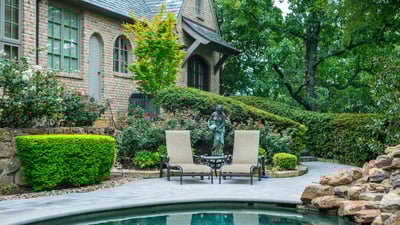 6 Best Privacy Screening Plants for Your North Texas Yard