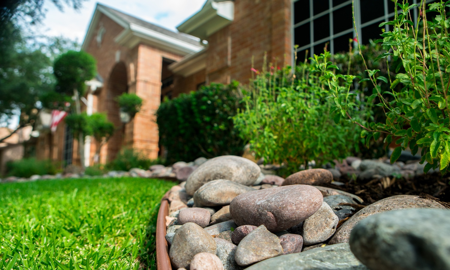 rocks-plants-grass-shrubs-bushes-plants-tree
