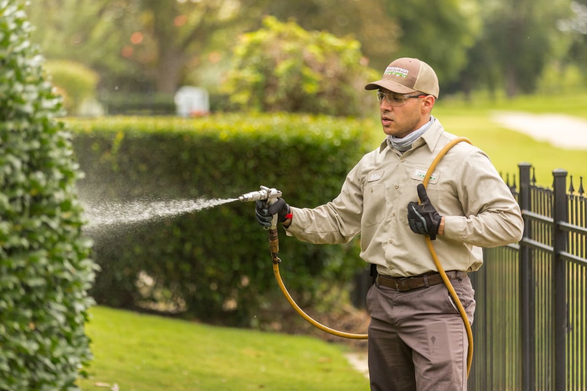 plant health care technician sprays shrub