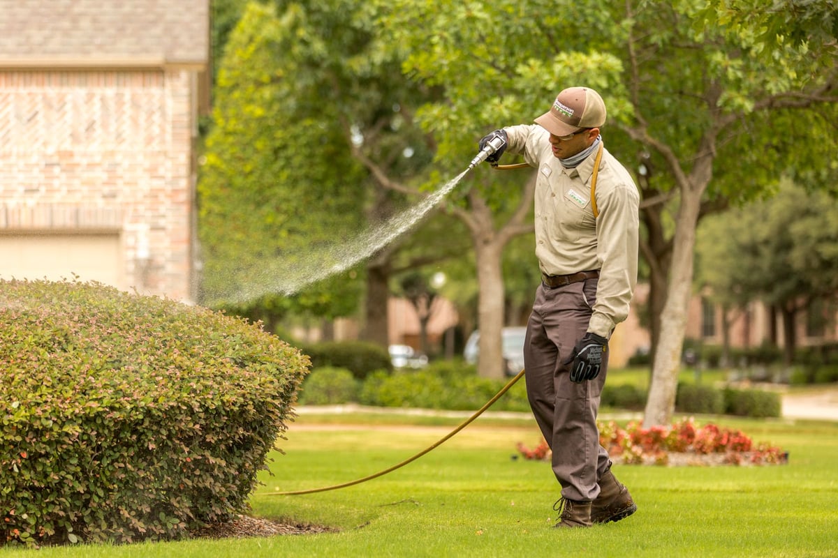 plant health care expert sprays shrub