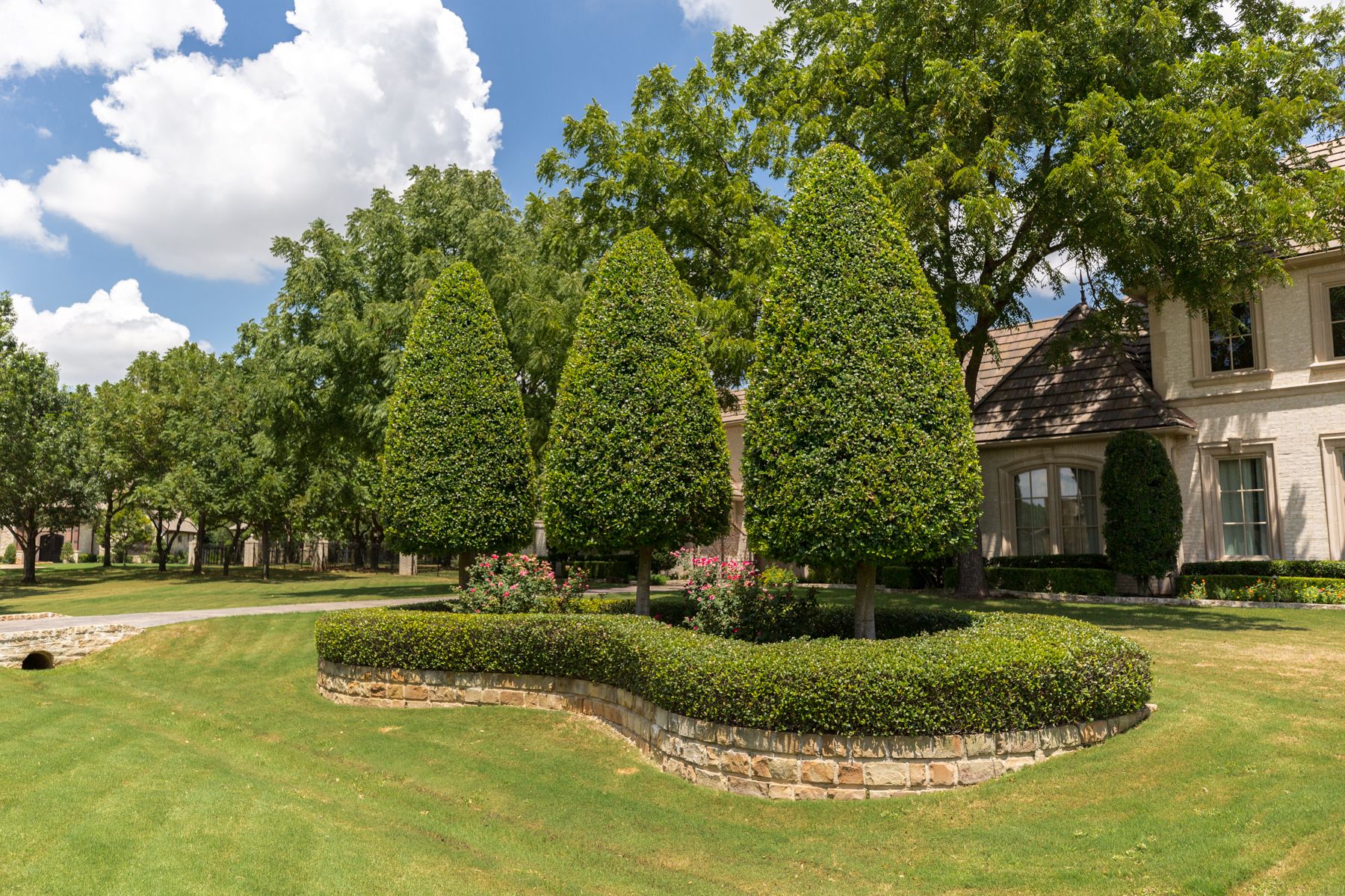 Healthy lawn and trees