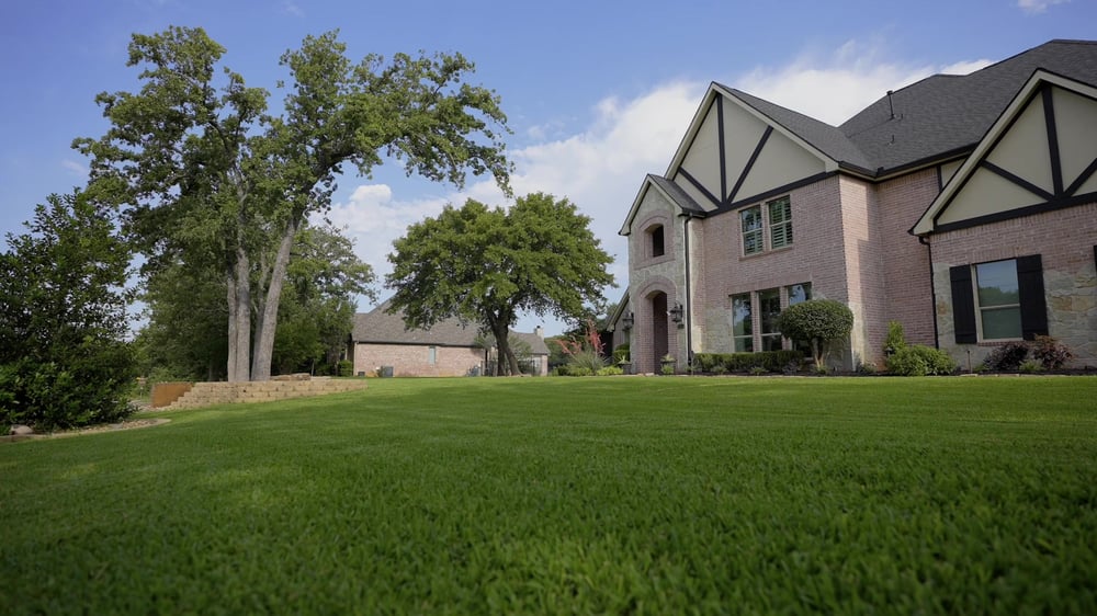 Grassperson - Perfect Timing for Lawn Care Treatments and Tasks-thumb-1