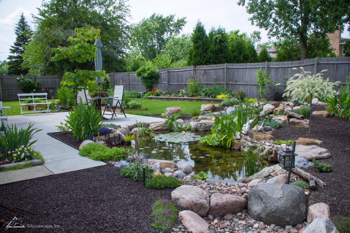 pond water feature with plantings