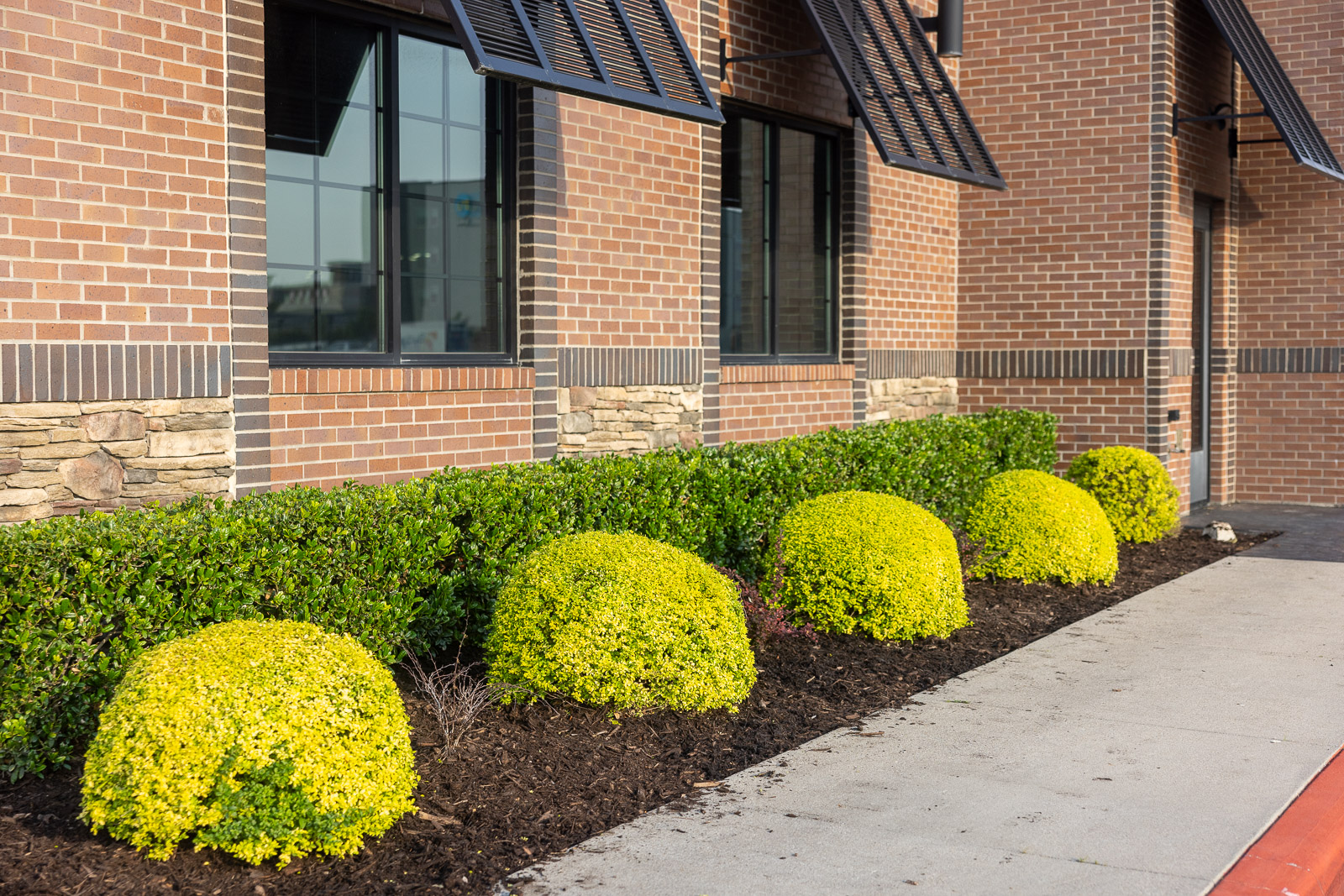 commercial maintenance fresh mulch landscape bed