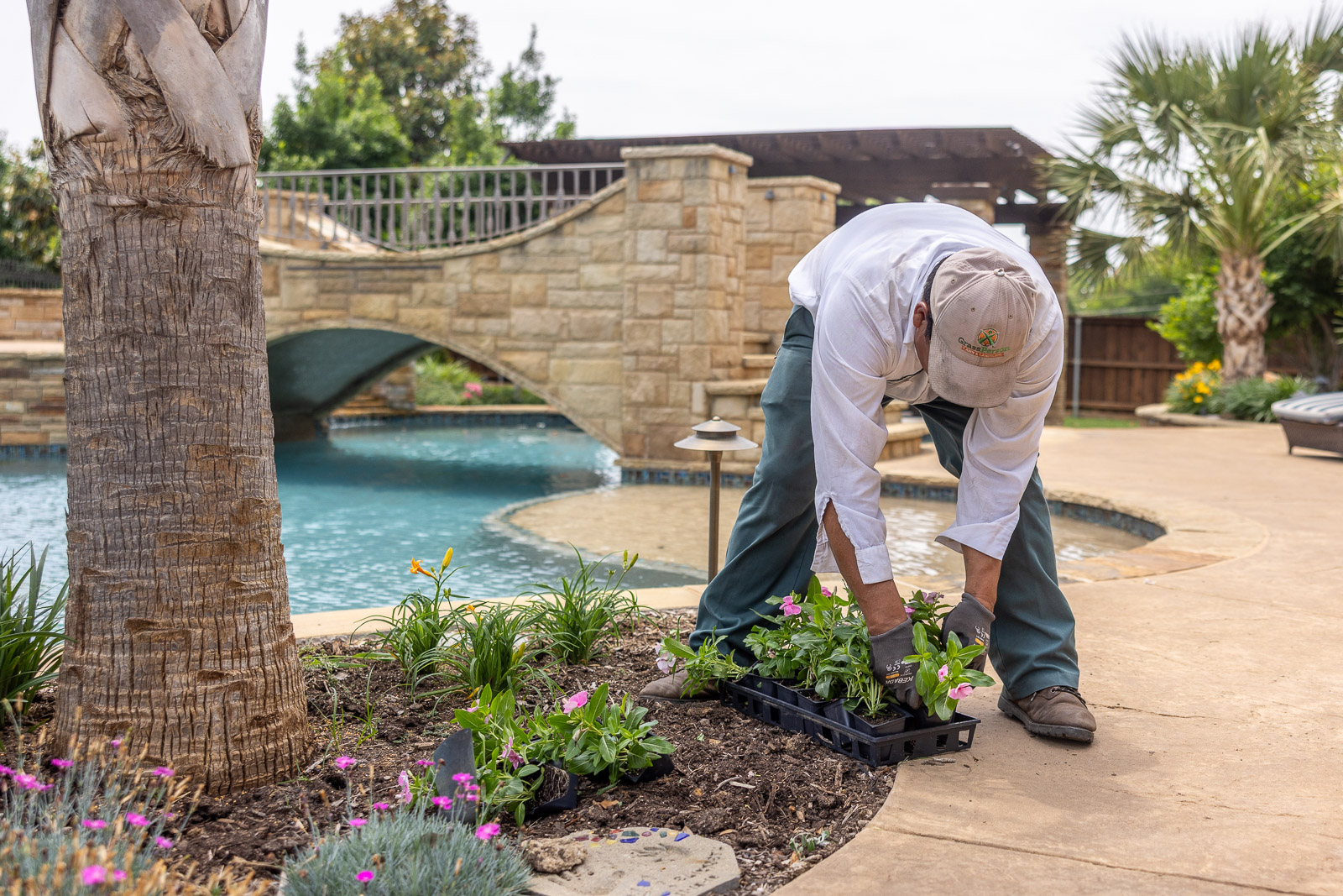 crew planting annuals near pool