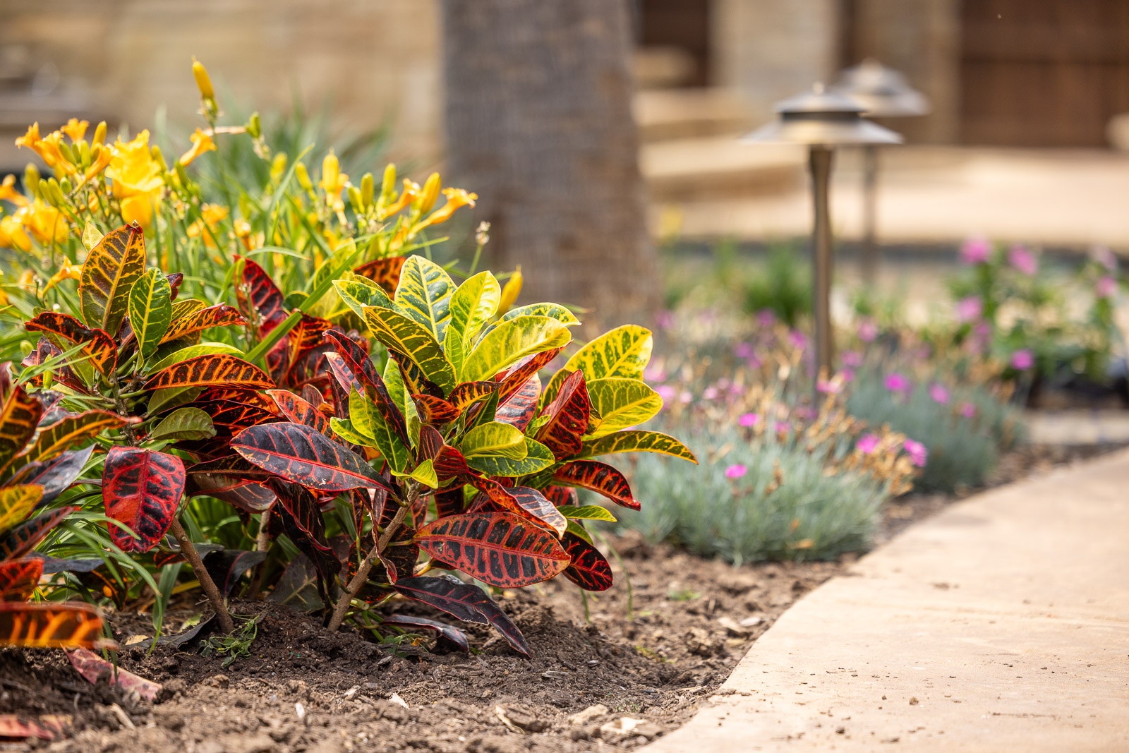 landscape beds along walkway outdoor lighting 