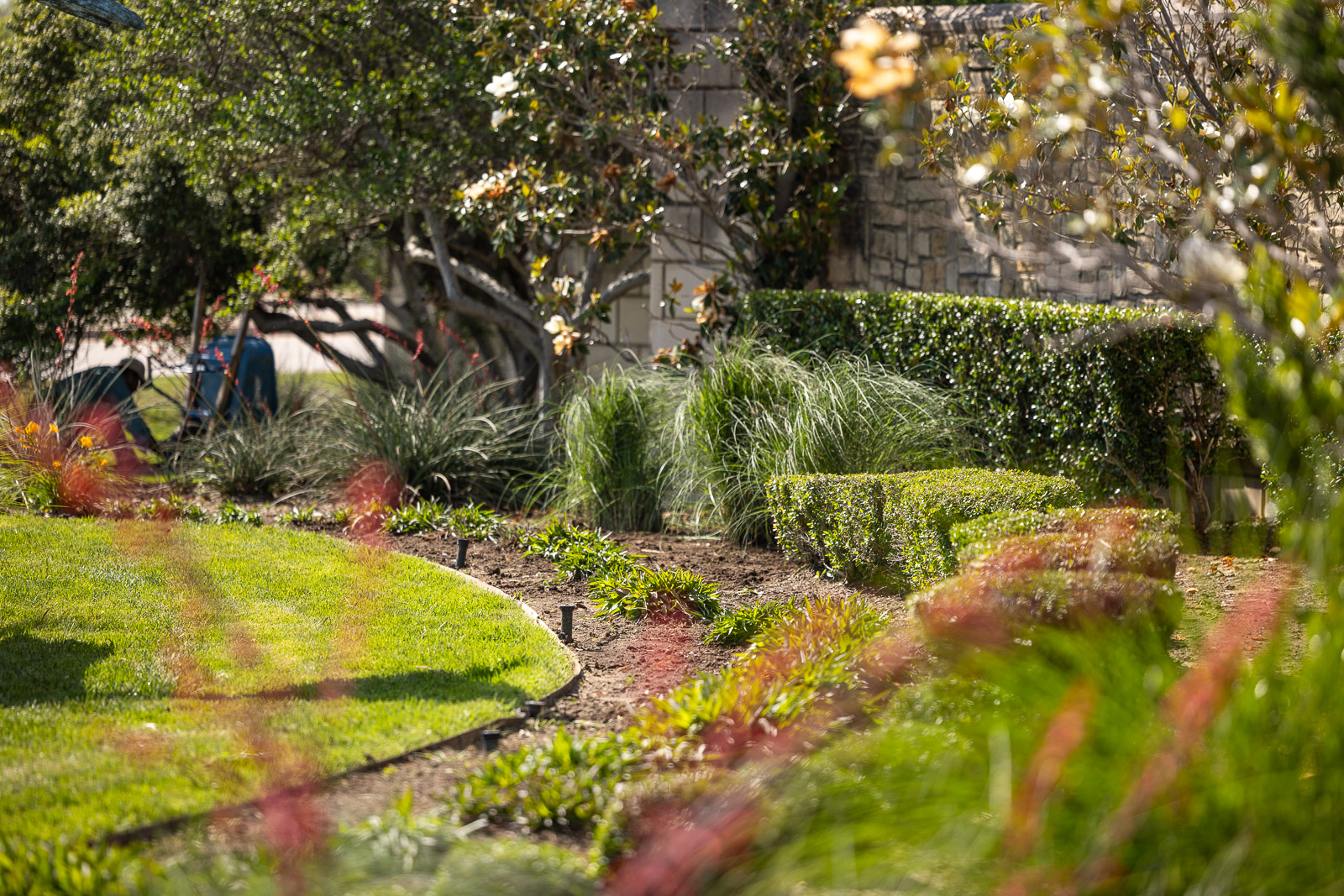 landscape beds and edging green lawn 