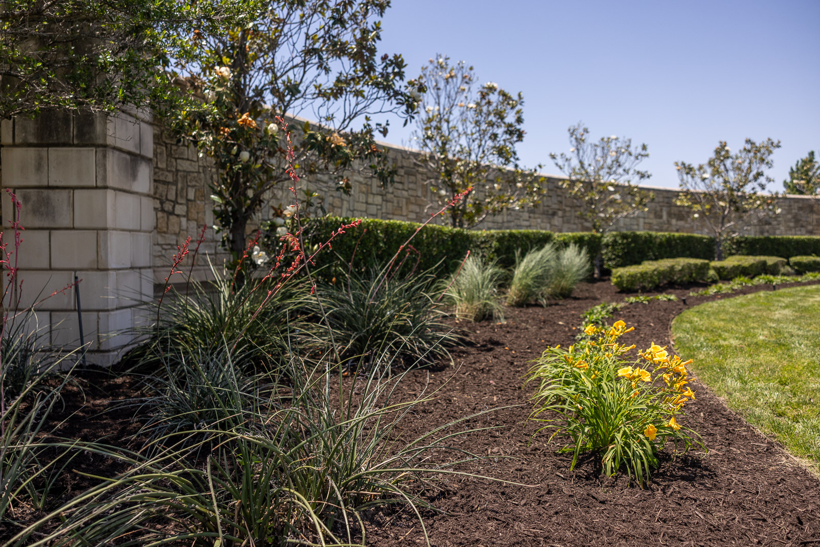 Landscape bed with mulch