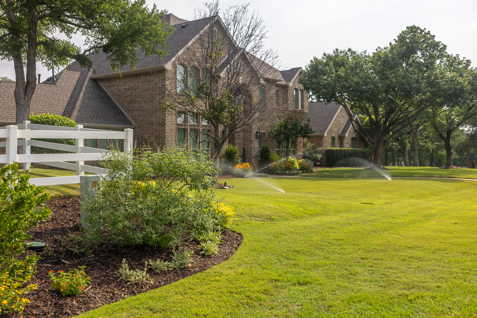 large green lawn irrigation system watering lawn front of house 