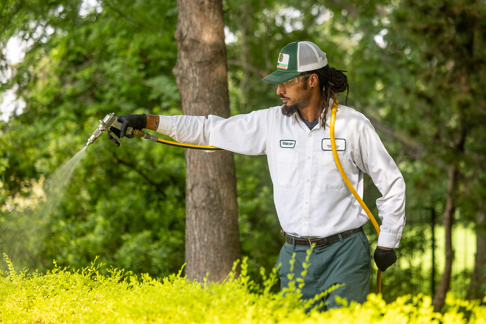 plant health care technician spraying shrub