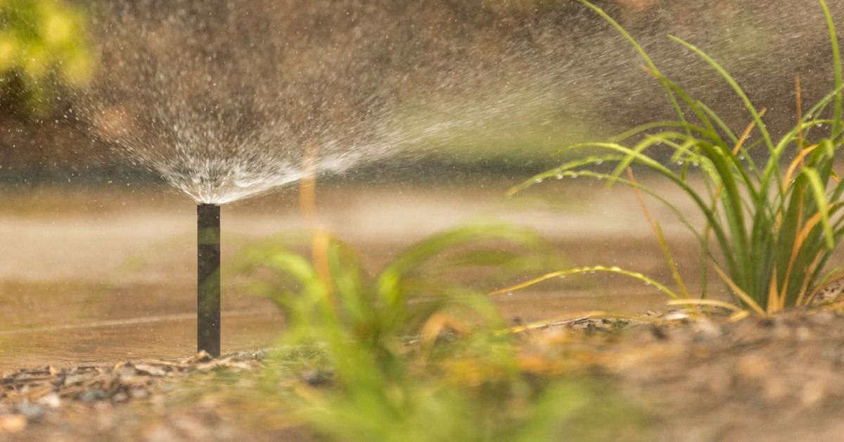 Essential Irrigation System Tips in Texas