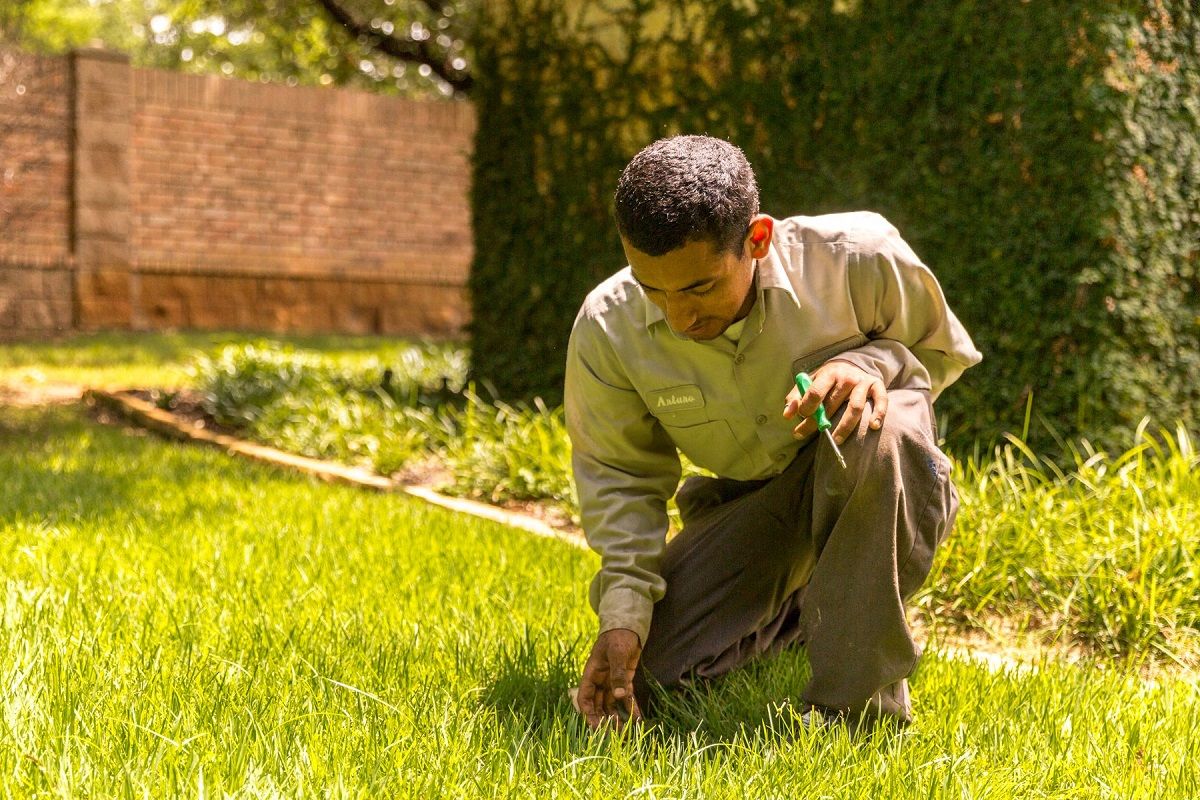 Is it Easy to Replace Sprinkler Heads or Do I Need a Professional?