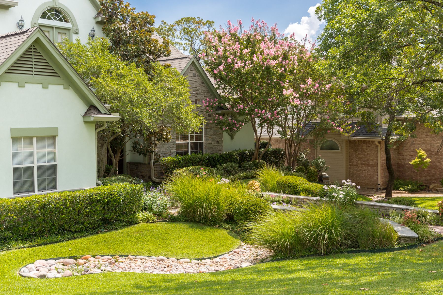 Healthy lawn and shrubs in yard