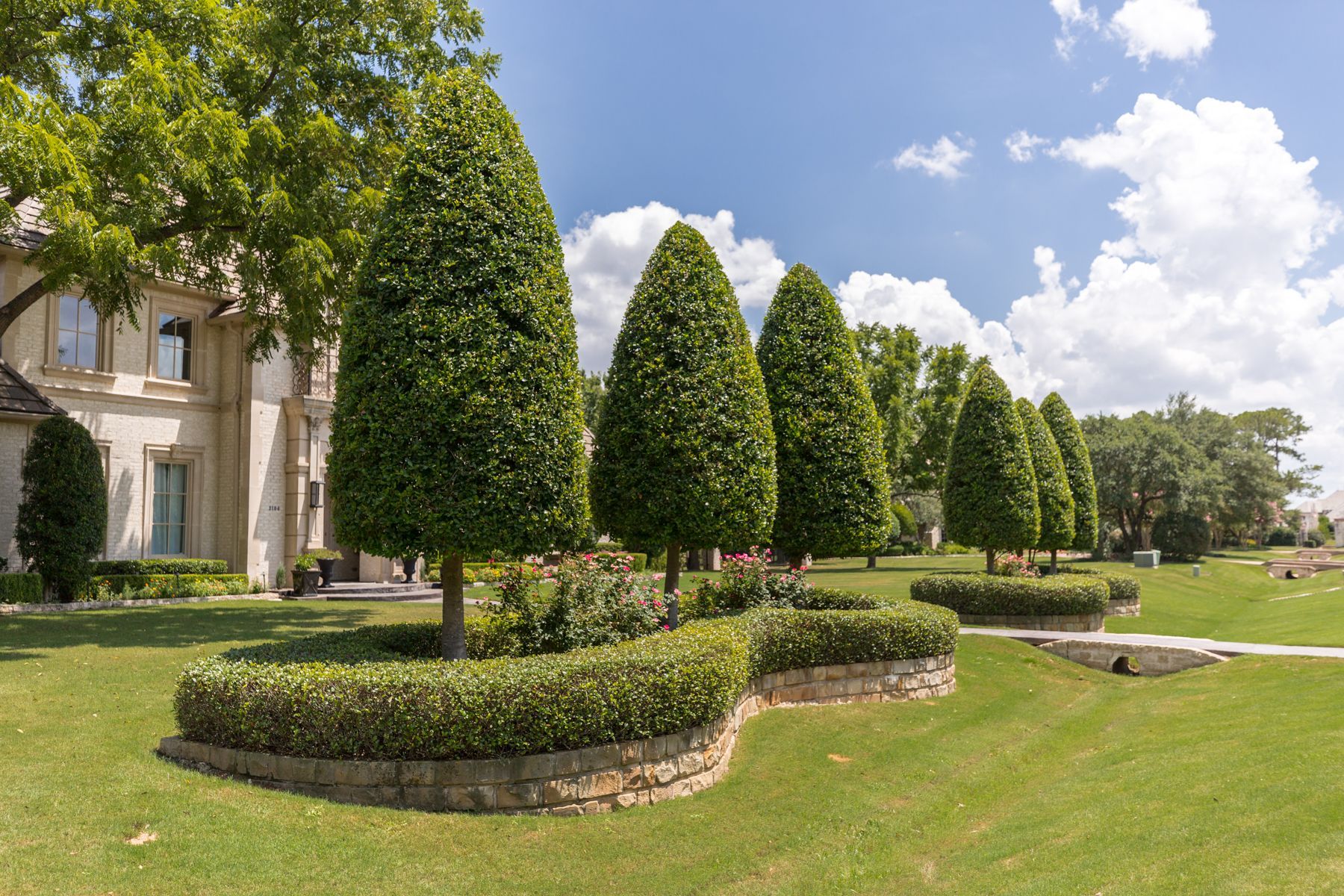 What is the Cost of Shrub Removal and Replacement in North Texas?